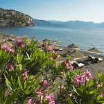 Asma, Villa Florya