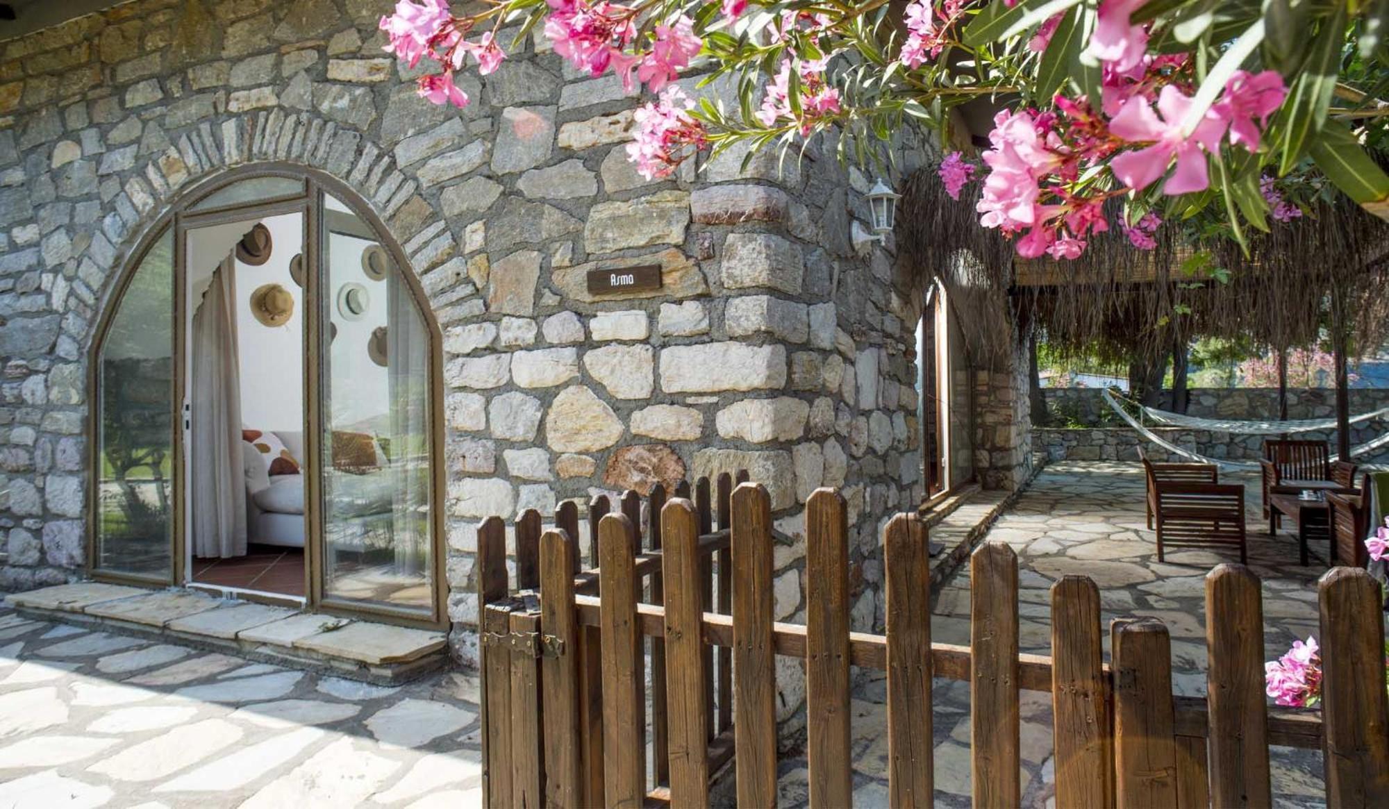 Asma, Florya * Marmaris